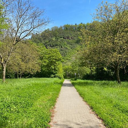 Ferienwohnung An Der Saar 孔茨 外观 照片